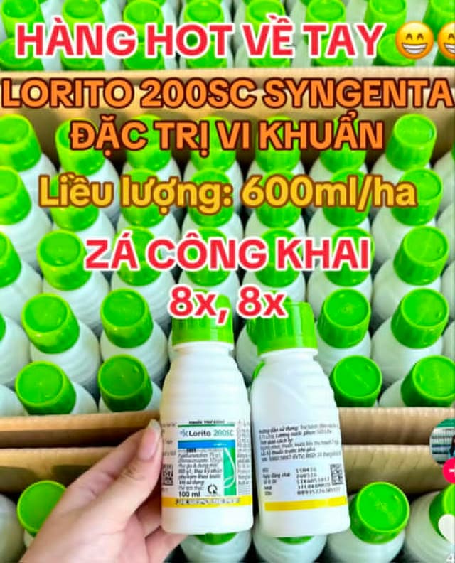 Hoạt tính vi khuẩn của Lorito 200SC có liên quan thế nào đến cháy bìa lá và lép vàng vi khuẩn trên lúa?