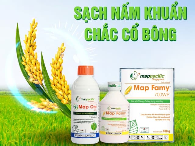 Thuốc Đạo Ôn "Singapore" Trị Đạo Ôn Có Ngon Hơn Thuốc Khác Không?