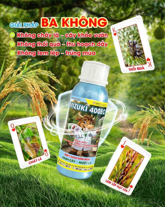 Công Thức Mới Có Hiệu Quả Vượt Trội Trên Cháy Lá, Thối Quả Sầu Riêng Do Thán Thư và Lem Lép Hạt Lúa: Flusilazole 250 g/L + Pyraclostrobin 150 g/L Mizuki 400EC
