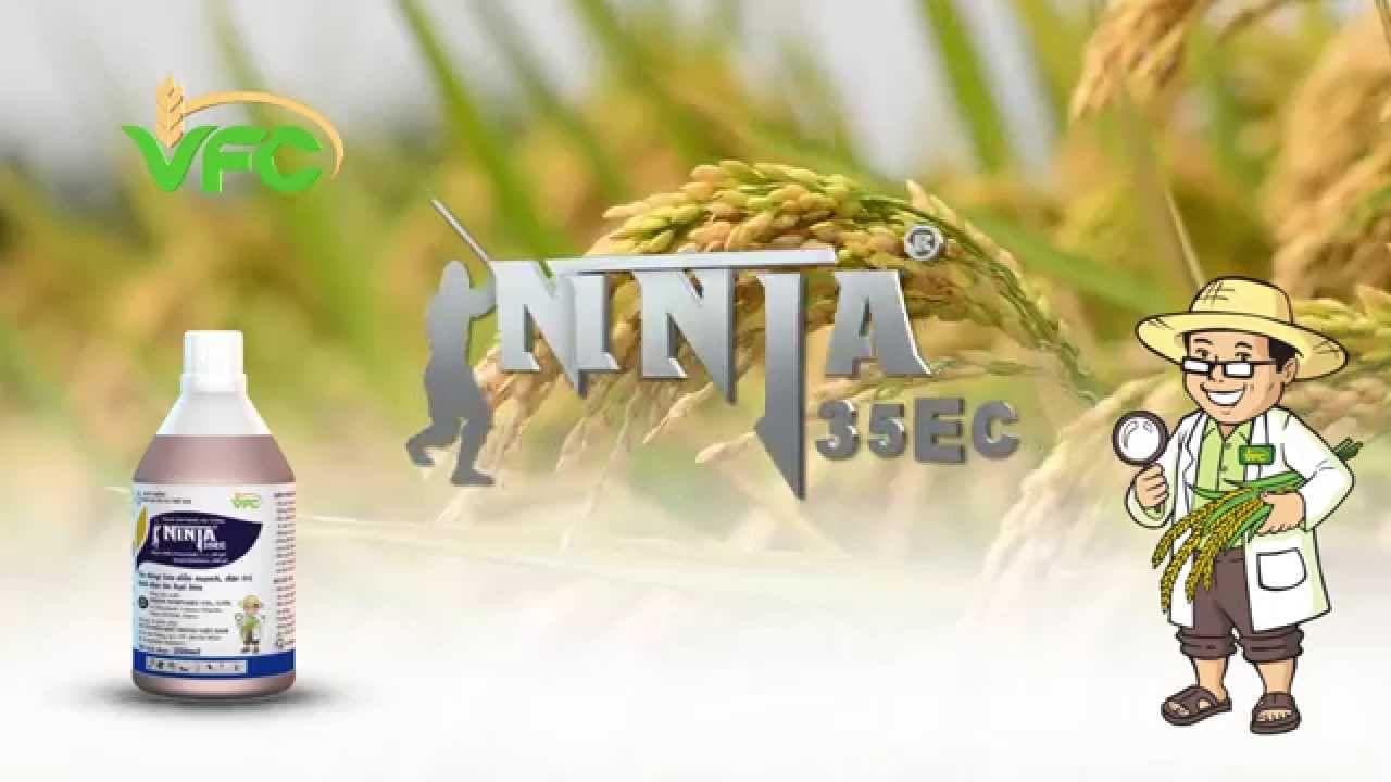 Một Số Nghiên Cứu Cho Thấy Hỗn Hợp Fenoxanil + Isoprothiolane Cho Hiệu Lực Trừ Đạo Ôn Rất Cao, Vượt Trội Nhiều Công Thức Khác...